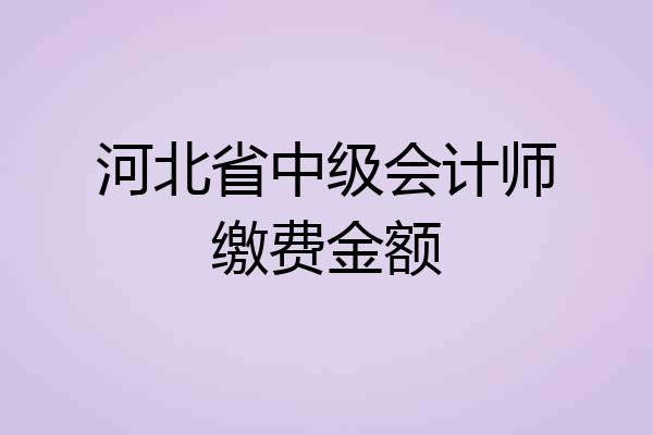 河北省中级会计师缴费金额