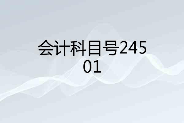 会计科目号24501