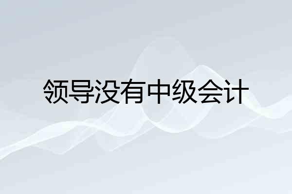 领导没有中级会计