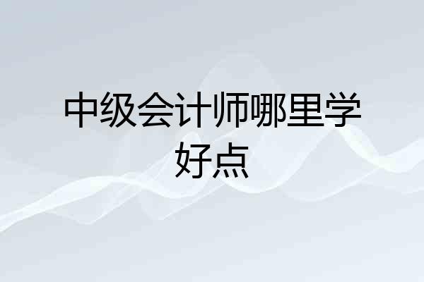 中级会计师哪里学好点