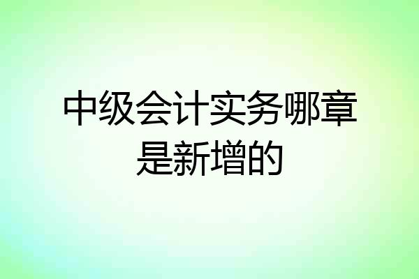 中级会计实务哪章是新增的