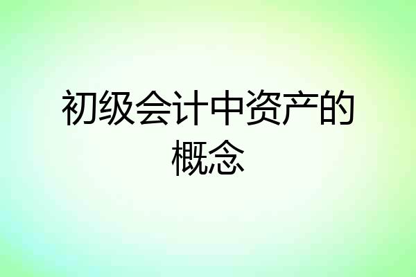 初级会计中资产的概念