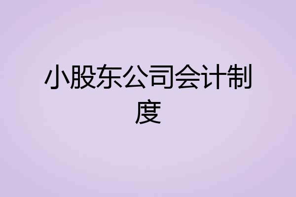 小股东公司会计制度