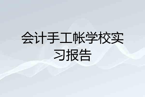 会计手工帐学校实习报告