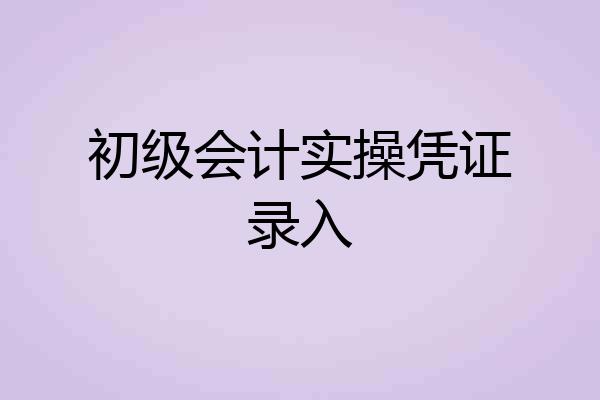 初级会计实操凭证录入