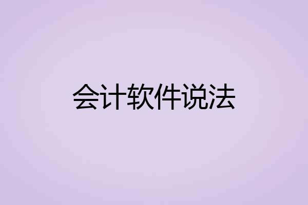 会计软件说法