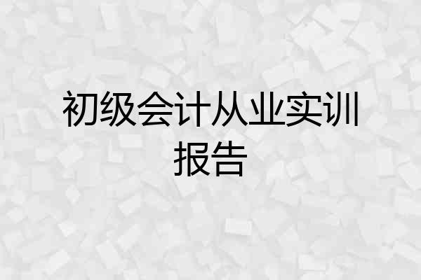 初级会计从业实训报告