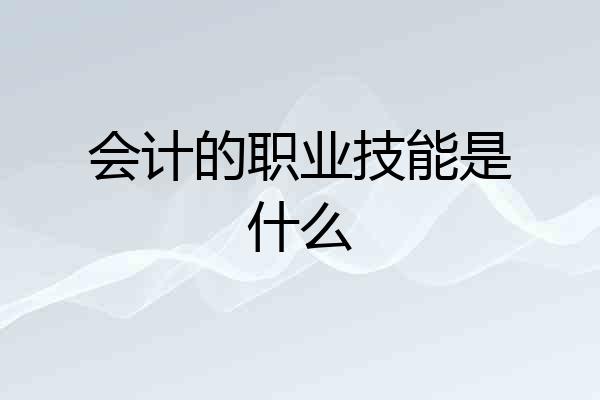 会计的职业技能是什么