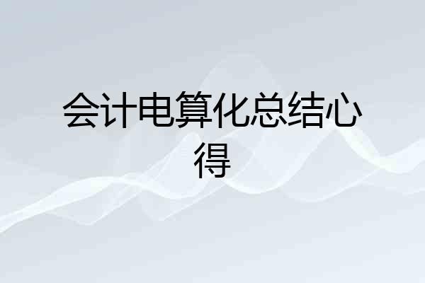 会计电算化总结心得