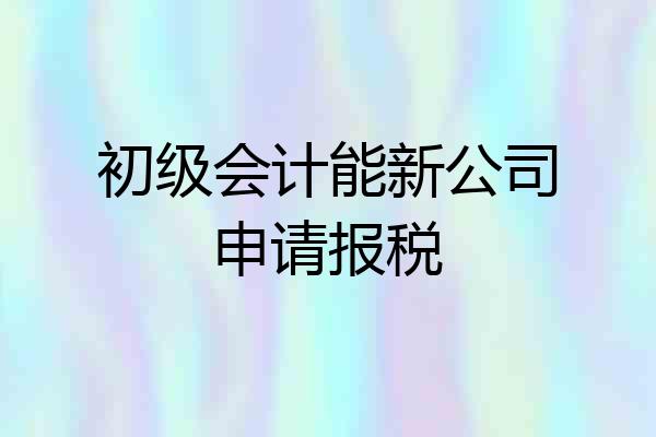 初级会计能新公司申请报税