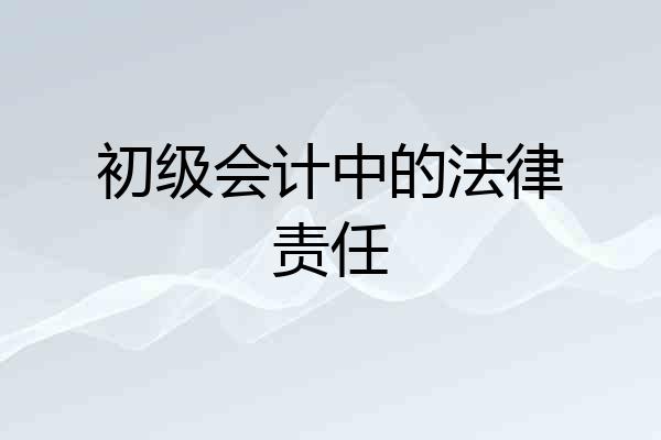 初级会计中的法律责任