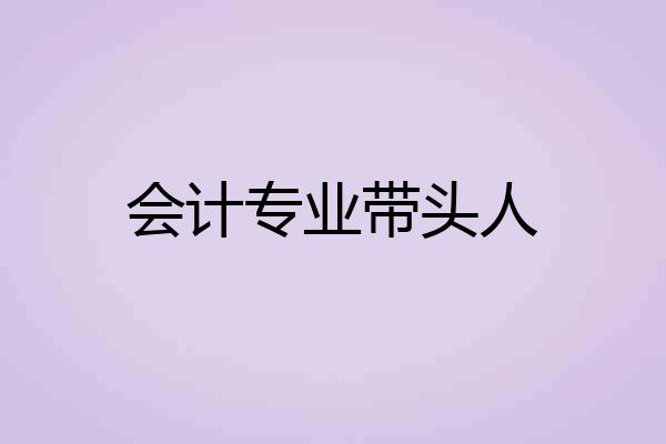 会计专业带头人