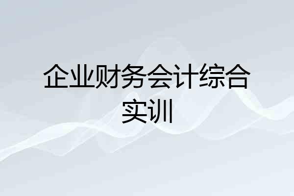 企业财务会计综合实训