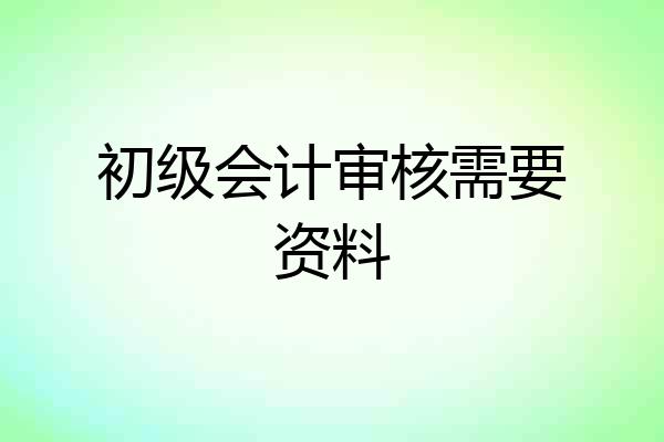 初级会计审核需要资料
