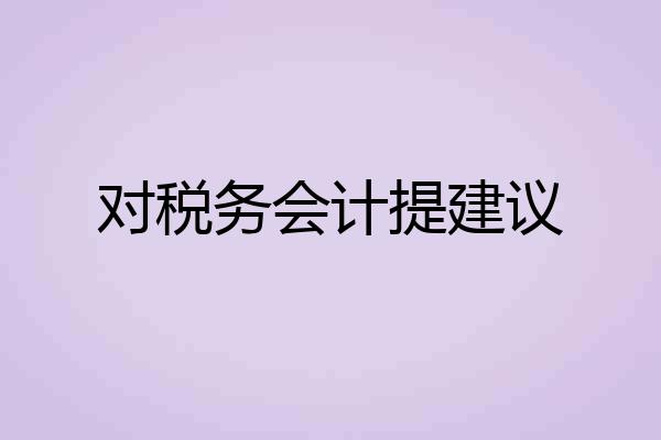 对税务会计提建议