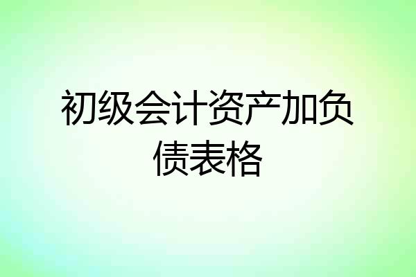 初级会计资产加负债表格