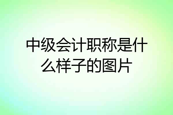 中级会计职称是什么样子的图片