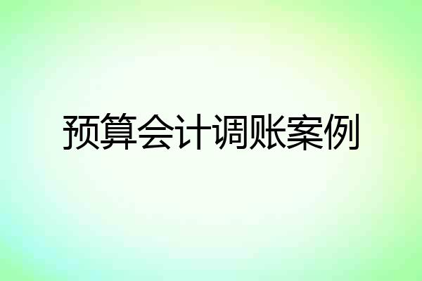 预算会计调账案例