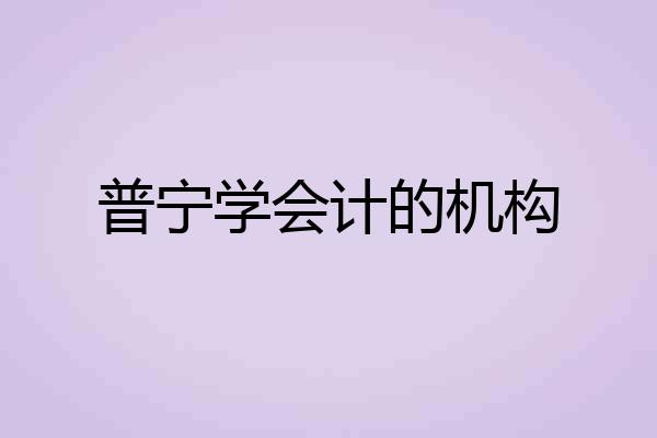 普宁学会计的机构