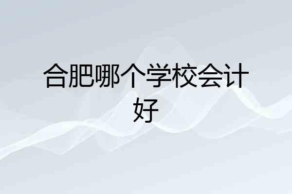 合肥哪个学校会计好