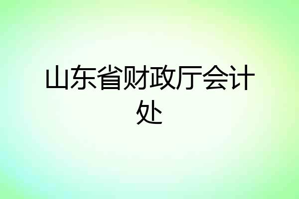 山东省财政厅会计处