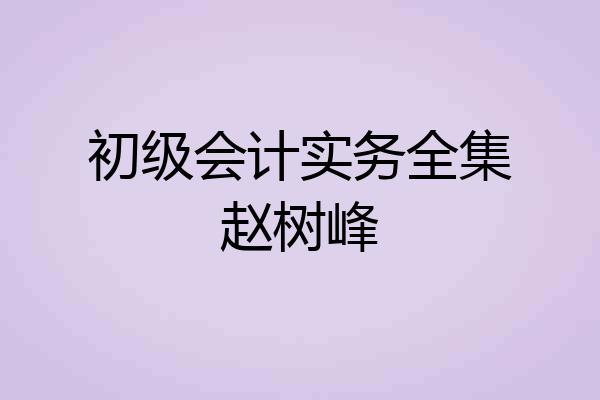 初级会计实务全集赵树峰