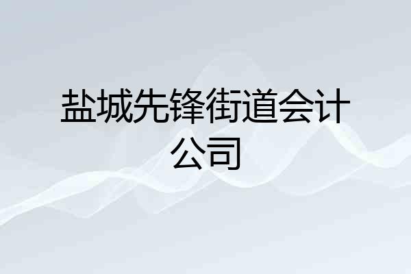 盐城先锋街道会计公司