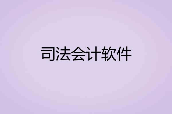 司法会计软件