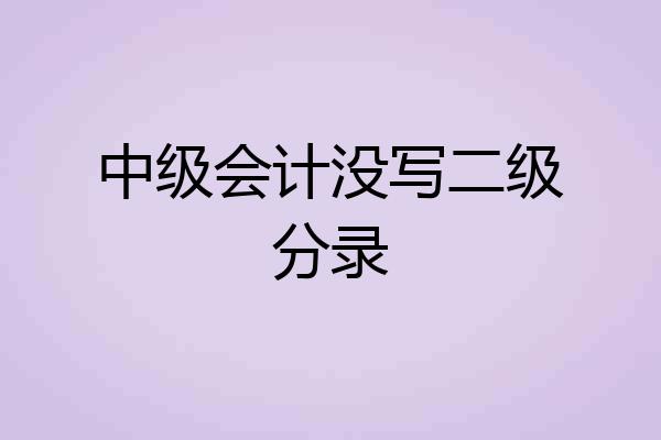 中级会计没写二级分录