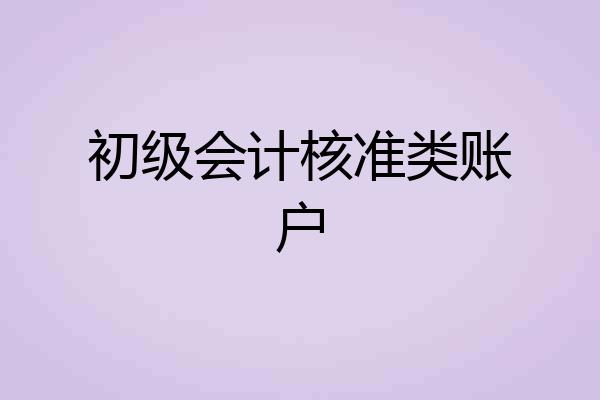 初级会计核准类账户