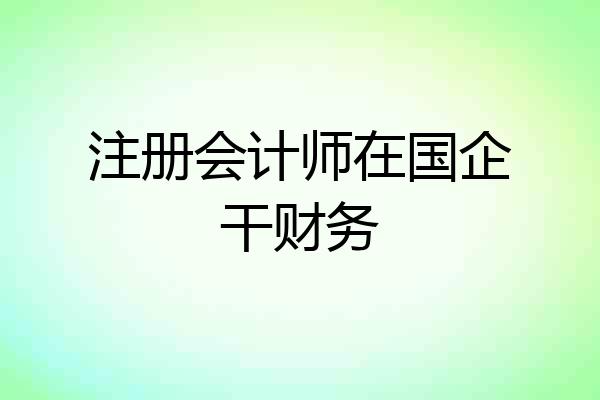 注册会计师在国企干财务