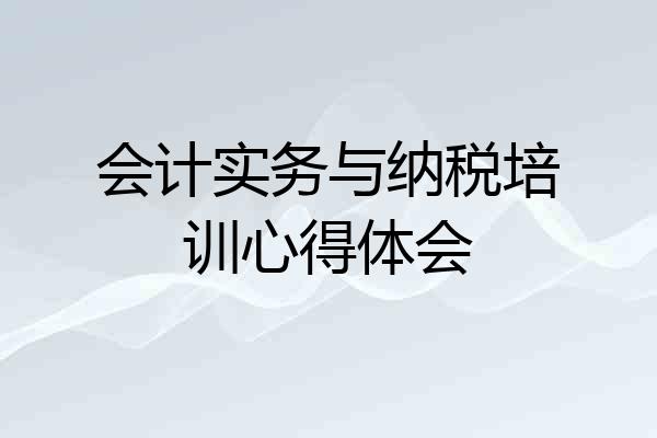 会计实务与纳税培训心得体会