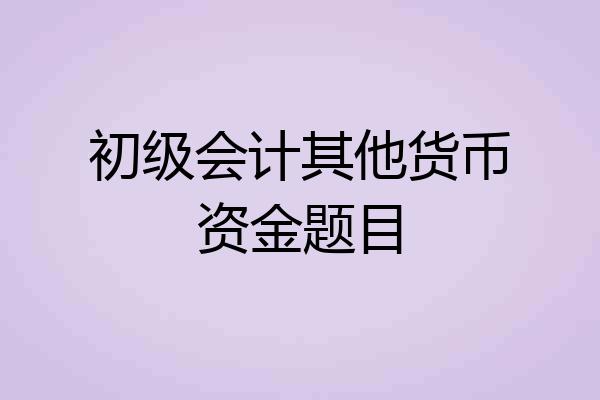 初级会计其他货币资金题目