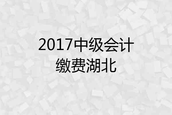 2017中级会计缴费湖北