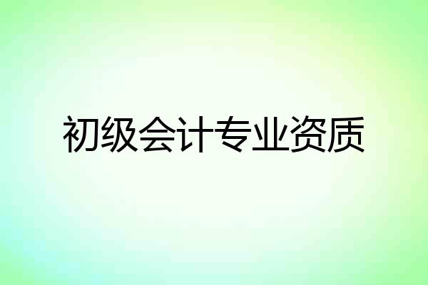 初级会计专业资质