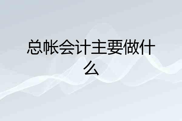 总帐会计主要做什么