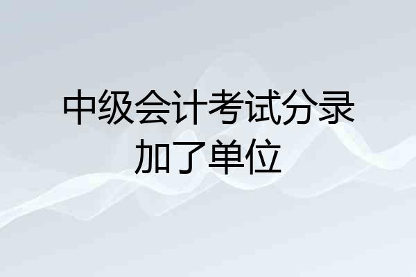 中级会计考试分录加了单位