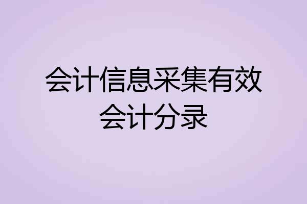 会计信息采集有效会计分录