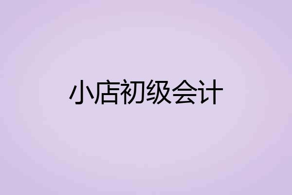 小店初级会计