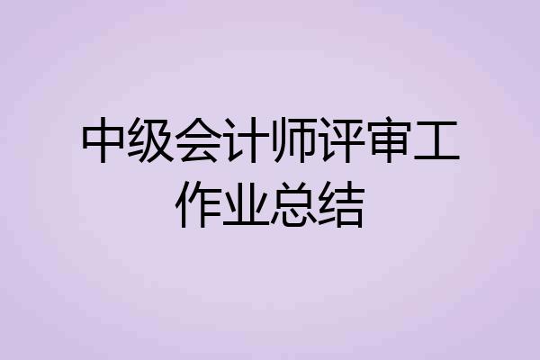 中级会计师评审工作业总结