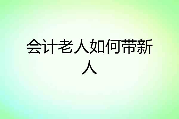 会计老人如何带新人