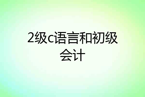 2级c语言和初级会计