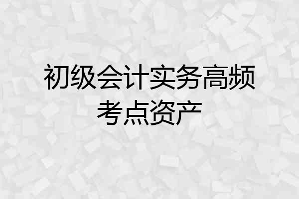 初级会计实务高频考点资产