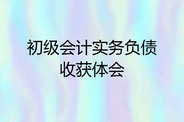初级会计实务负债收获体会