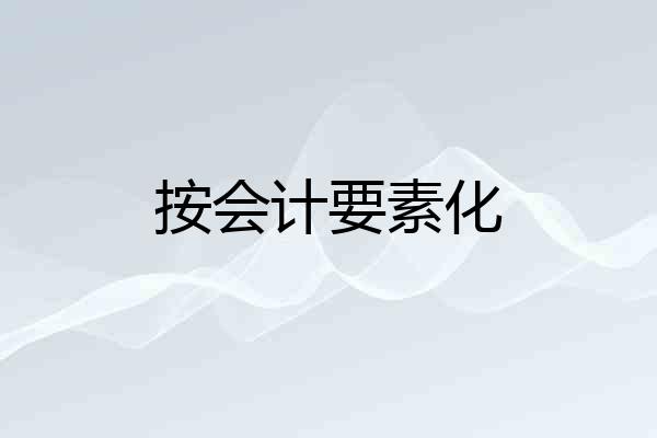 按会计要素化
