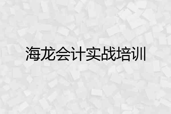 海龙会计实战培训