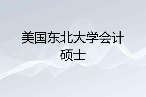 美国东北大学会计硕士