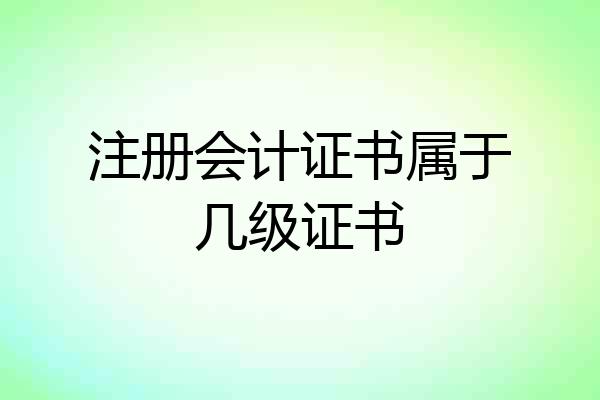 注册会计证书属于几级证书
