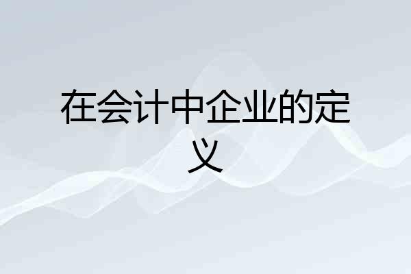 在会计中企业的定义