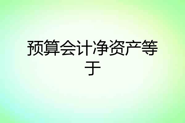 预算会计净资产等于